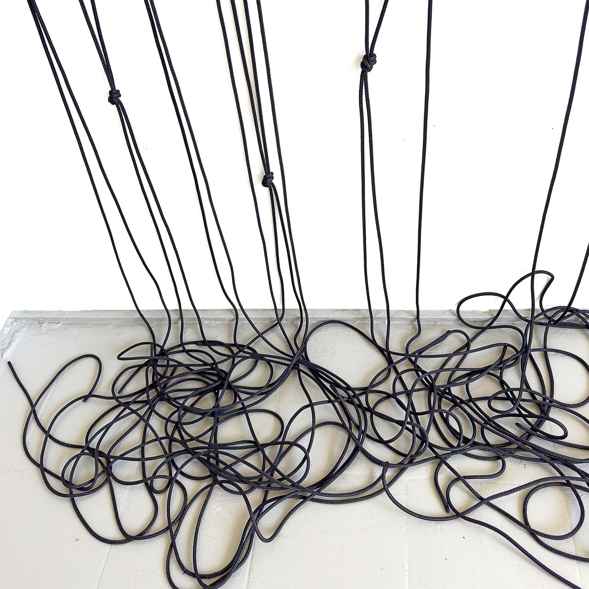 WHAP - Kirstin Arndt im OHA15 2024
