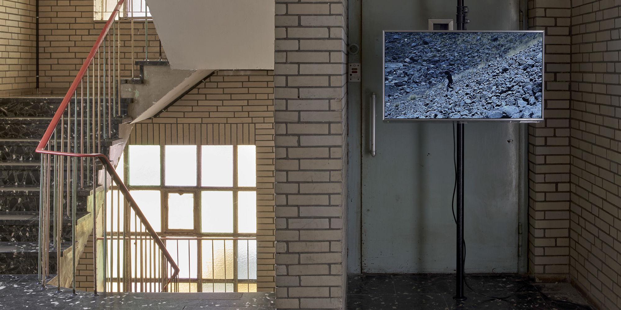 VIER Rolf Appelbaum Antonio Bravo Avendaño Tania Ximena Tino Kukulies 6.07. – 30.07.2025 Ausstellungskurator Andreas Wünkhaus
